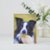 Carte Postale Taj - Bordure Collie Art (Debout devant)