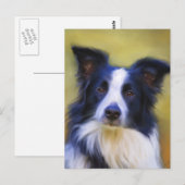 Carte Postale Taj - Bordure Collie Art (Devant / Derrière)