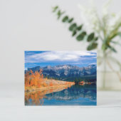 Carte Postale Talbot Lake Jasper Alberta, Canada (Debout devant)