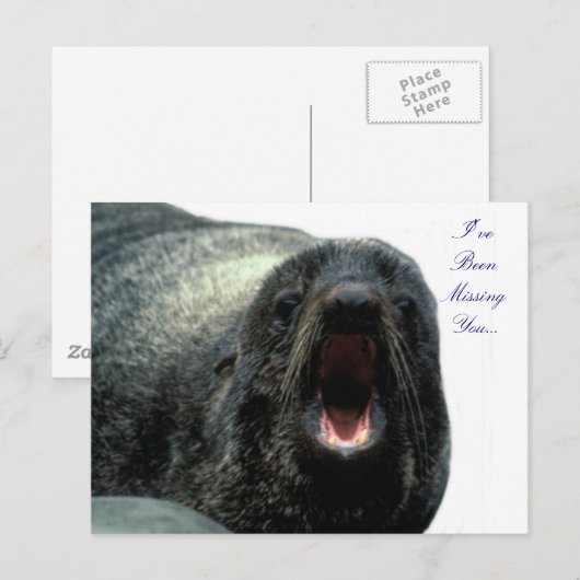 Carte postale Talking Seal (Devant / Derrière)