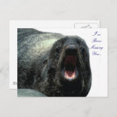 Carte postale Talking Seal (Devant / Derrière)