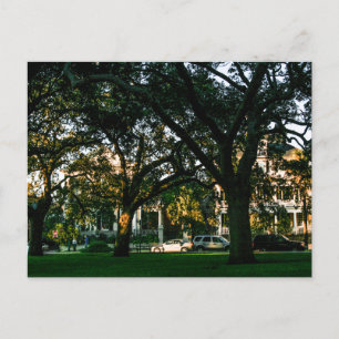 Carte Postale Tall Trees en Charleston, Caroline du Sud
