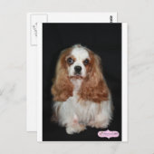 Carte Postale Tallulah (Devant / Derrière)