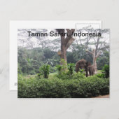 Carte Postale Taman Safari (Devant / Derrière)