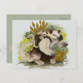 Carte Postale Tamandua Fourmilier (Devant / Derrière)