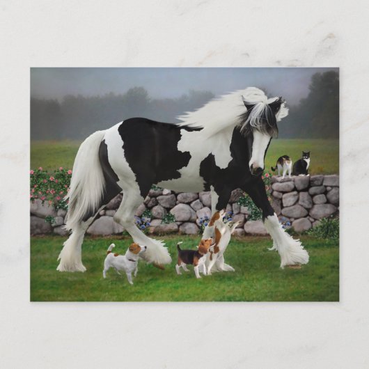 Carte postale "Tamlin et Pups" (Devant)