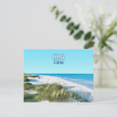 Carte Postale Tampa Beach Floride Vintage (Debout devant)