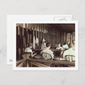 Carte Postale Tampa Cigar Boys, 1909 (Devant / Derrière)