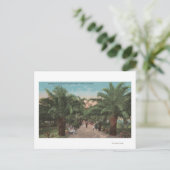 Carte Postale Tampa, FL - Vue de l'entrée du parc Ballast Point (Debout devant)