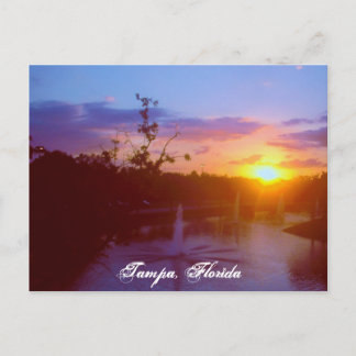 Carte Postale Tampa Florida