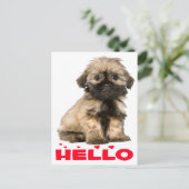 Carte Postale Tan & Black Shih Tzu Chien Chien Chien Chien Chien (Debout devant)