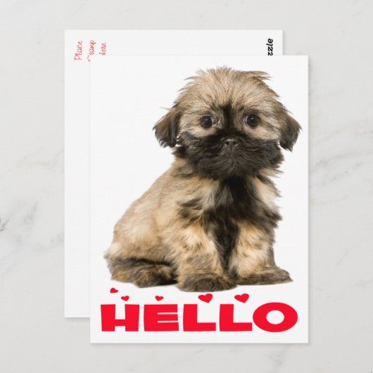 Carte Postale Tan & Black Shih Tzu Chien Chien Chien Chien Chien (Devant / Derrière)