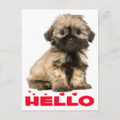 Carte Postale Tan & Black Shih Tzu Chien Chien Chien Chien Chien (Devant)