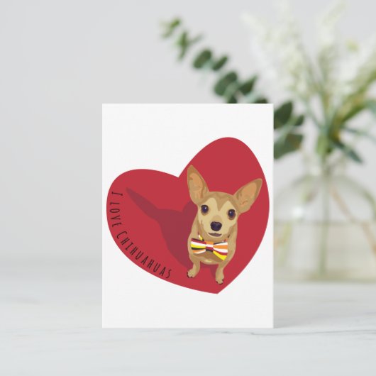 Carte Postale Tan Chihuahua avec cravate arc dans un coeur rouge (Debout devant)