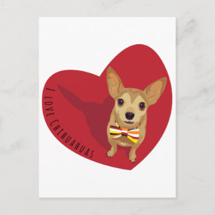 Carte Postale Tan Chihuahua avec cravate arc dans un coeur rouge