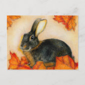 CARTE POSTALE TAN ET NOIR (Devant)