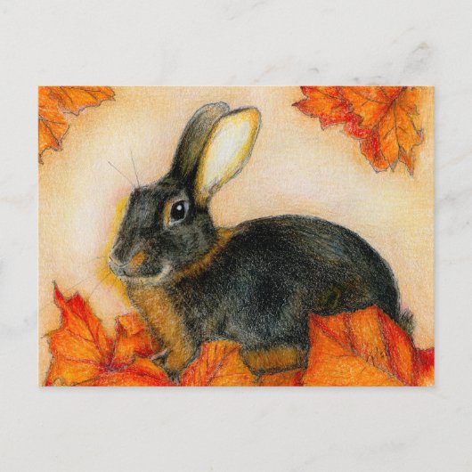 CARTE POSTALE TAN ET NOIR (Devant)