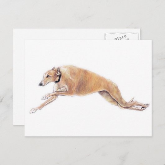 Carte postale Tan Greyhound Running Chig Art (Devant / Derrière)