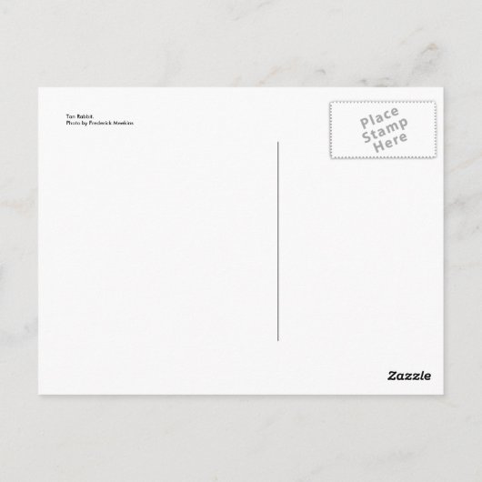 Carte Postale Tan Rabbit (Dos)