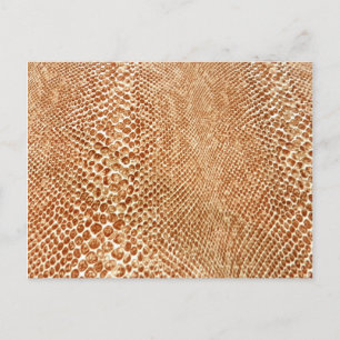 Carte Postale Tan Snakeskin