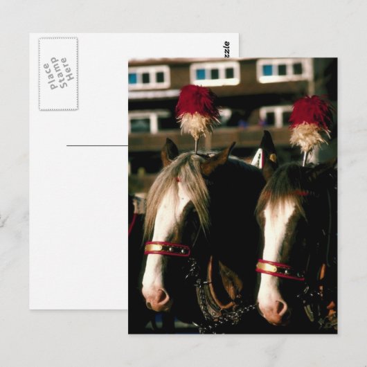 Carte Postale Tandem du Cheval (Devant / Derrière)