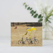 Carte Postale Tandem Snakes (Debout devant)