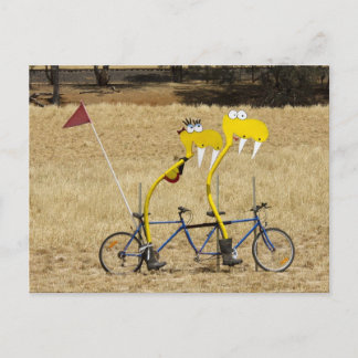 Carte Postale Tandem Snakes