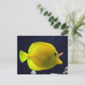 Carte Postale Tang jaune (Debout devant)