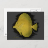 Carte Postale Tang Jaune - Solitude (Devant / Derrière)