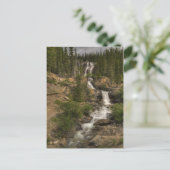 Carte Postale Tangle Falls (Debout devant)