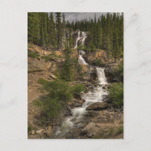 Carte Postale Tangle Falls (Devant)