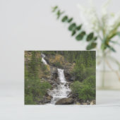 Carte Postale Tangle Falls (Debout devant)