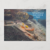 Carte Postale Tank & Marine Marvel : L'histoire de Saipan (Devant)