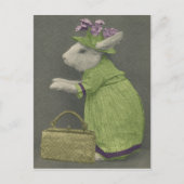 Carte postale Tante Bunny (Devant)