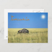 Carte Postale Tanzanie (Devant / Derrière)