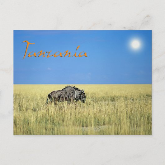 Carte Postale Tanzanie (Devant)