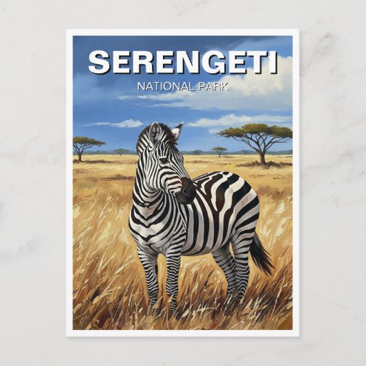 Carte Postale Tanzanie Serengeti Parc national Zebra (Devant)