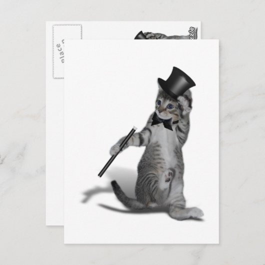 Carte Postale Tap Chat de danse (Devant / Derrière)