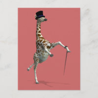 Tap Dancing Giraffe