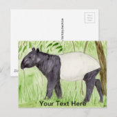 Carte Postale Tapir (Devant / Derrière)