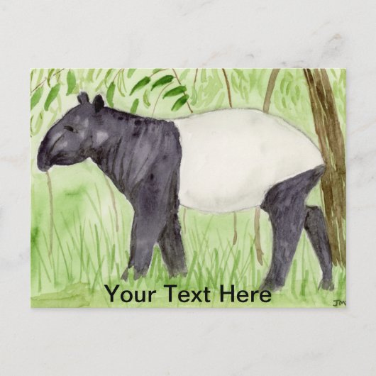 Carte Postale Tapir (Devant)