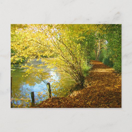 Carte Postale Tapis Feuille (Devant)