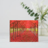 Carte Postale Tapis rouge et ciel (Debout devant)