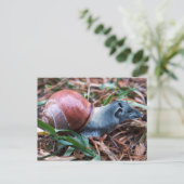 Carte postale Tapisnail (Debout devant)