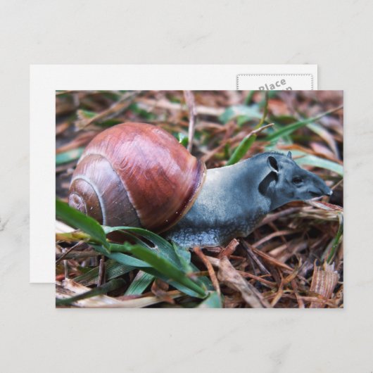 Carte postale Tapisnail (Devant / Derrière)