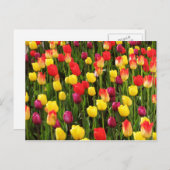 Carte Postale Tapisserie arc-en-ciel (Devant / Derrière)