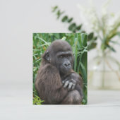 Carte Postale Tapisserie Baby Gorilla (Debout devant)