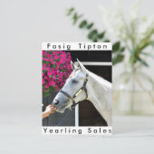 Carte Postale Tapit -Rote Hip no.140 (Debout devant)