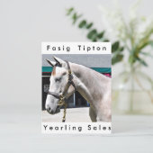 Carte Postale Tapit -Rote Hip no.140 (Debout devant)