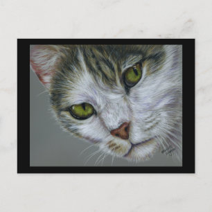 Carte Postale Tara - Art Chat